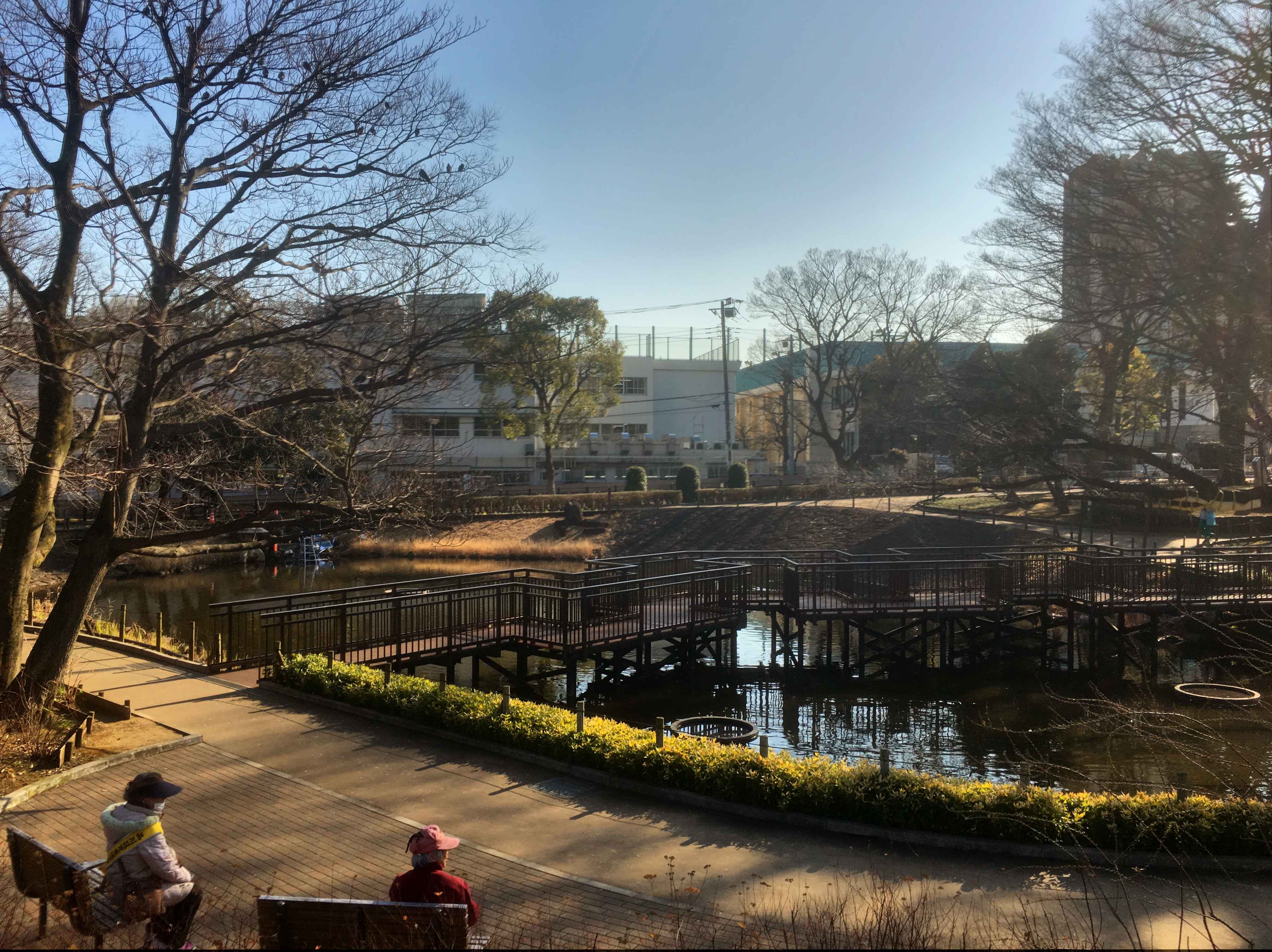 🌳 문고의 숲(분코노모리) 이미지 1